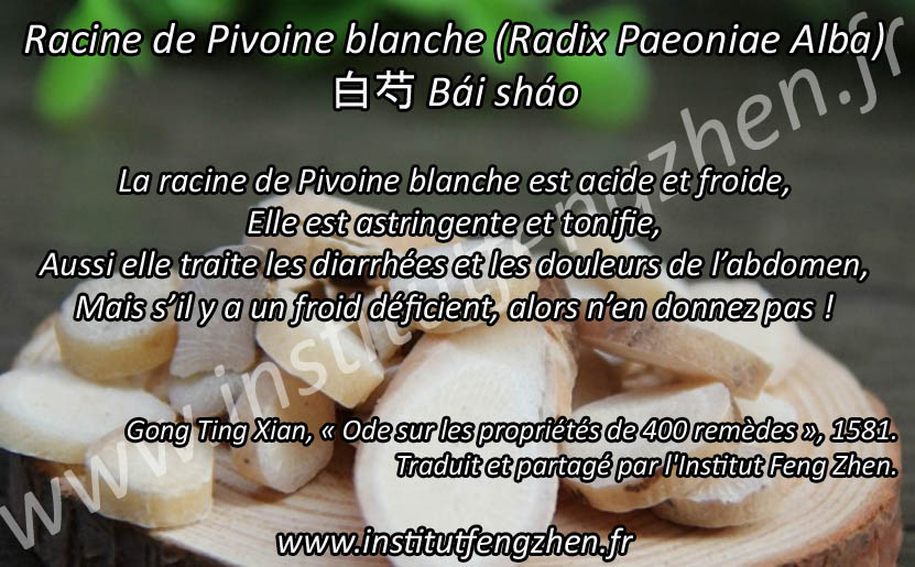 Bai shao - Racine de Pivoine blanche