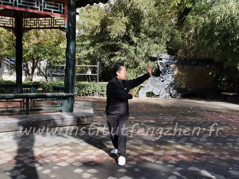 Le bagua zhang est un art martial traditionnel chinois qui repose sur la marche et les mouvements naturels. Ici, Gao Jiwu shifu en posture de tui mo zhang.