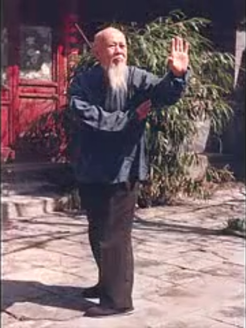 Li Zi Ming en position de Tui mo zhang, l'une des huit grandes paumes. Disciple 3ème génération du Gongfu bagua zhang.