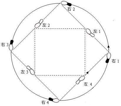 L'union des quatre droites et des quatre courbes