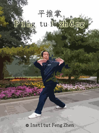 Gao Ji Wu shifu en posture ping tui zhang