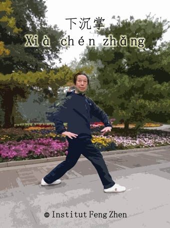 Gao Ji Wu shifu en posture xia chen zhang