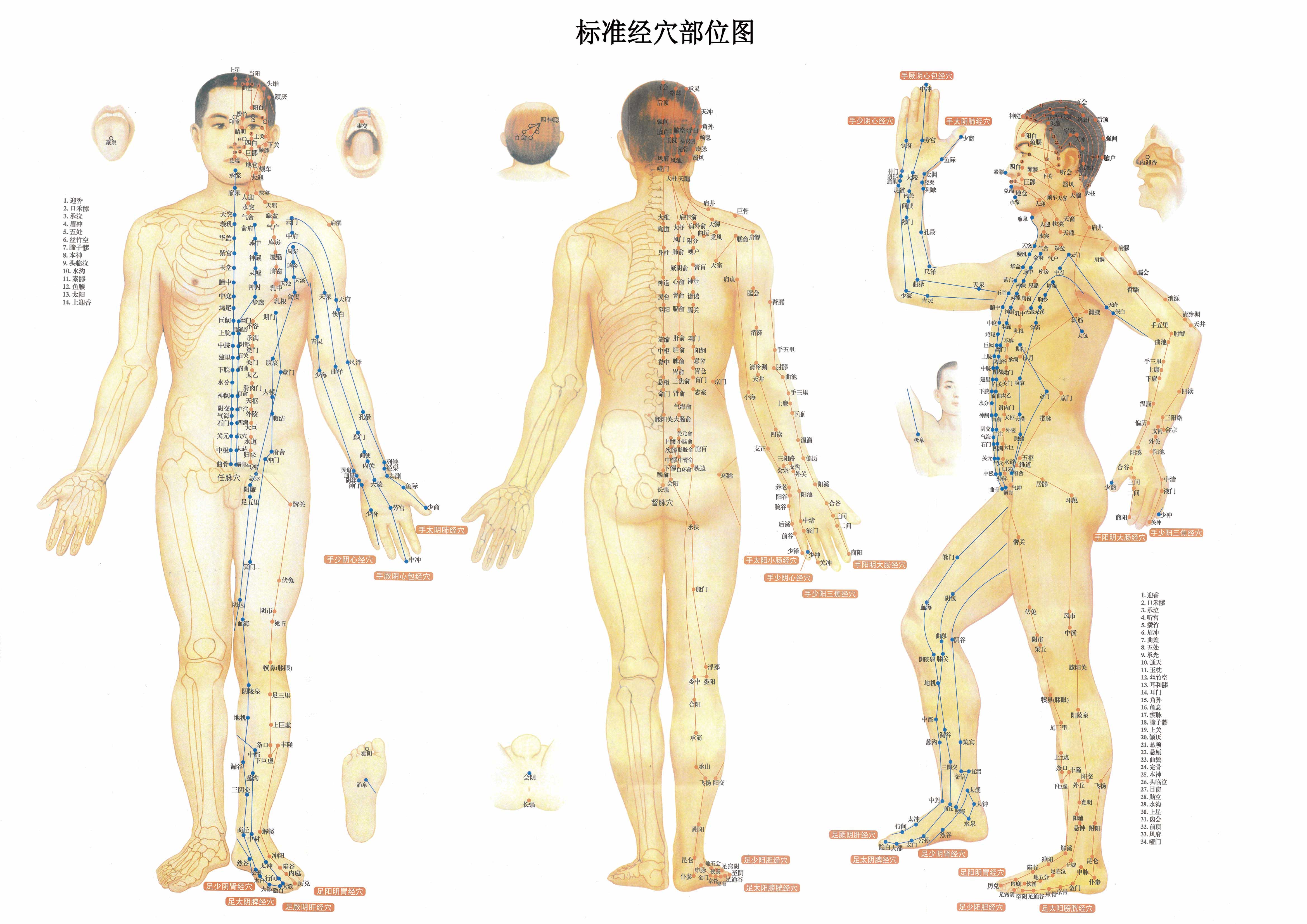 Фото точек человека. Меридианы человека китайская медицина. Точки на теле человека китайская медицина. Меридианы человека схема и точки акупунктуры. Карта акупунктуры человеческого тела.